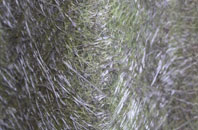 Little Asby fibreglass roof work